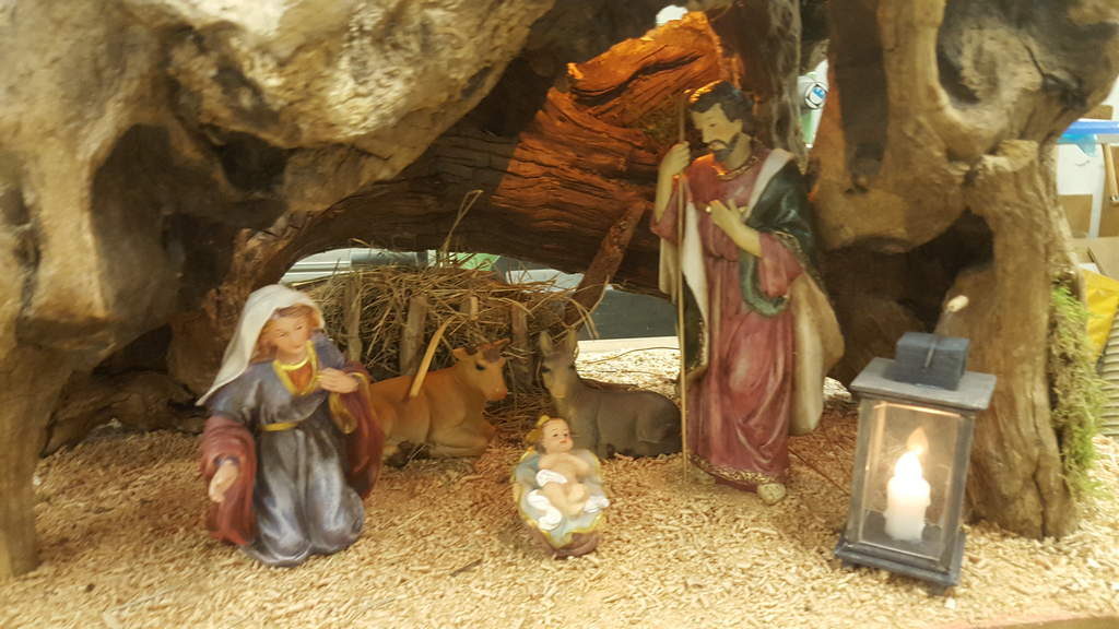 2016-12-07_Wuerzelskrepp_Therese3
