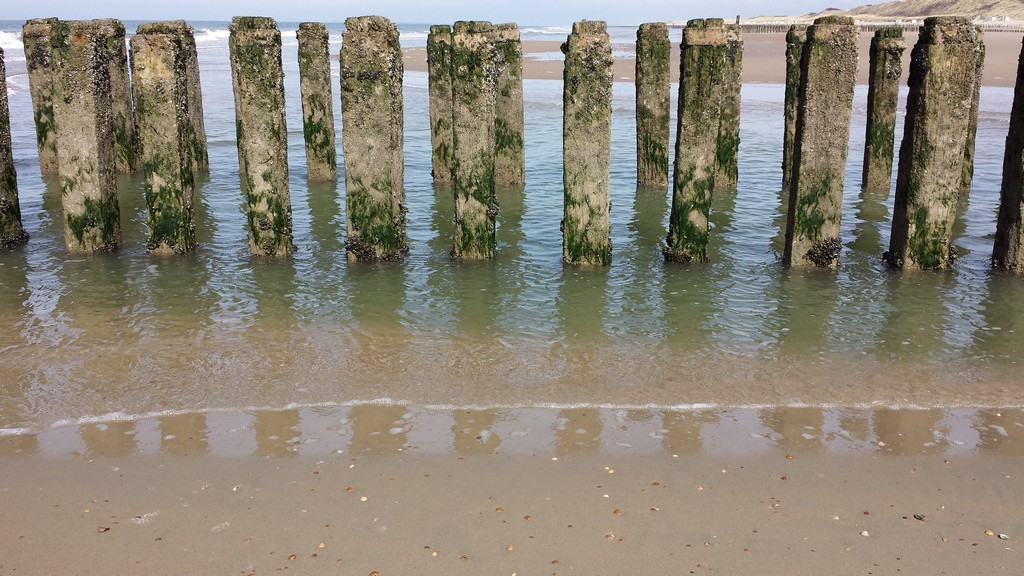 Domburg_8