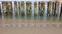 Domburg_8